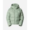 The North Face NF0A8E75BQ11